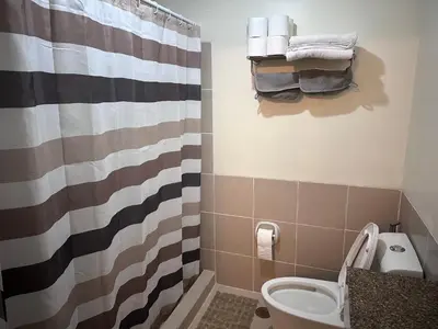 a bathroom with a toilet and a shower curtain at Casa Chena in Manila