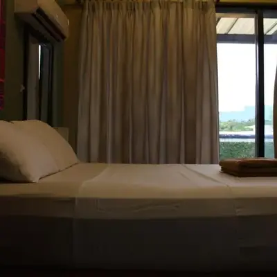 Purple Tree Bed & Breakfast