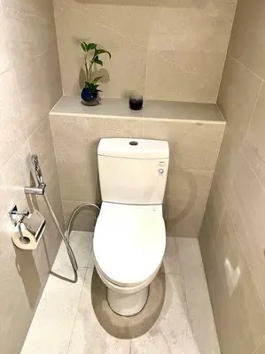 a bathroom with a toilet with a plant on a shelf at Luxury Studio in heart of Ortigas w/ swimming pool in Manila
