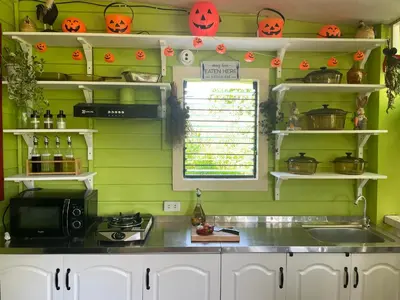 a kitchen with pumpkins on the walls and a sink at Madie's Place Guest House in Santa Rosa