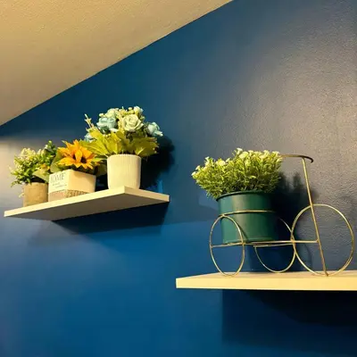 two shelves with flowers on them on a blue wall at Casas Reales Staycation & Rentals in Biñan