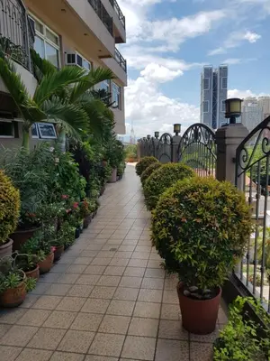 a walkway lined with potted plants on a building at Hospital ng Manila front delux le mirage de malate in Manila
