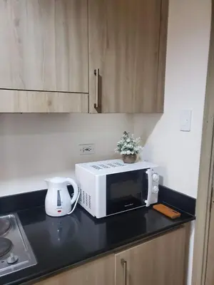a microwave sitting on a kitchen counter with a plant at METRO STAYCATION PASAY MALL OF ASIA in Manila