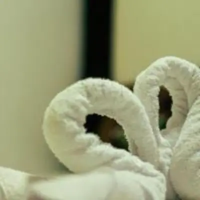 a roll of toilet paper with two holes in it at Family Room Staycation In The Heart Of Manila, with 2 Balcony Plus 40 Percent Promo Discount Plus Free Pool Access, Plus Free Sauna Promo in Manila Bay, Robinsons Place, Ermita, Pgh, Bellagio, UP Pedrogil, Staycation Updated 2025 Price in Manila