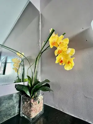 Gallery image of The Beacon Makati Hotel in Manila