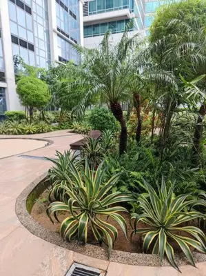 a garden with palm trees and plants in front of a building at -CONDO- Petite Residential Stay in Manila