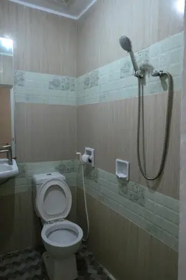 a bathroom with a toilet and a shower at Villa Elsie Resort and Hotel in General Trias