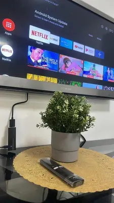 a plant sitting on a table in front of a tv at Sea Residences MOA Pasay City - Ruffa's Condotel in Manila