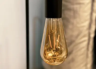 a light bulb with aarantula inside of it at Cozy & Airy Suite near Venice Mall FREE Pool & Gym in Manila