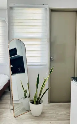 a mirror and a plant in front of a door at Zen Haven Staycation beside EK in Santa Rosa