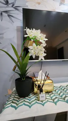 a potted plant sitting on top of a table at Le Palis Suite in Bukal