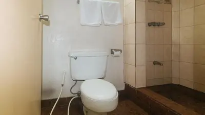 a bathroom with a white toilet and a shower at RedDoorz at Broadway Court Apartelle II Quezon City in Manila