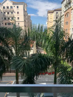 a group of palm trees in front of buildings at RAMCONDOTEL in Manila