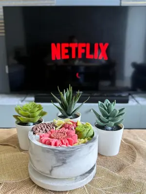 a table with three potted plants on top of it at 2 BR Condo SMDC Breeze Residences in Manila