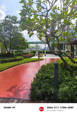 a red walkway in a park with a tree at Condo unit in Manila