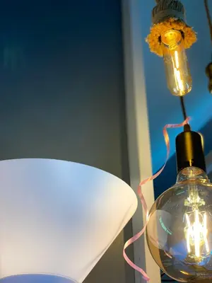 a light bulb with a lamp and a flower at EL MEIR PRIME CABIN w/ Bathtub near EK in Santa Rosa