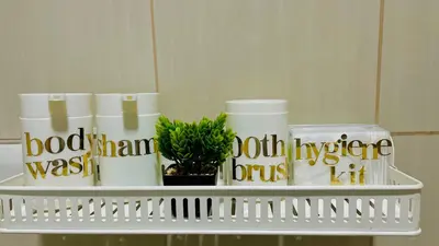 a shelf with toiletries and a plant on it at Shell Residences Condo Suite Staycation near MOA and Airport in Manila