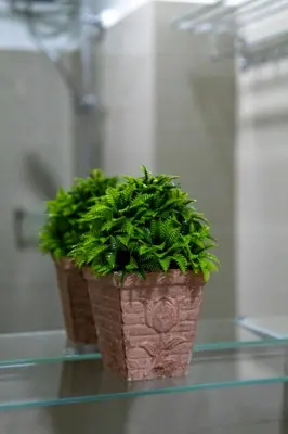 two potted plants sitting on a glass table at Oasis Urban Stay 2 in Manila