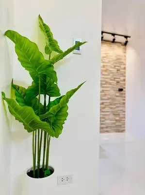 a green plant in a vase on a wall at La Prima - The Perfect Urban Oasis in Santa Rosa