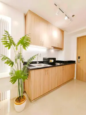 a kitchen with a sink and a plant in it at Premium Condotel Close To MOA in Manila