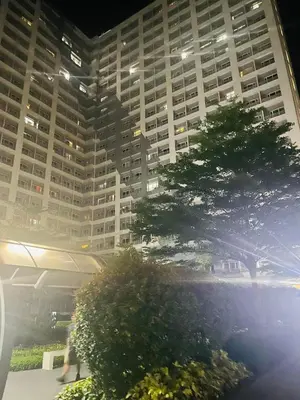 a tall building at night with a tree in front of it at SMDC Grace Residences in Manila