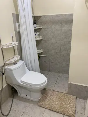 a bathroom with a white toilet and a shower at Studio-type Apartment near Manila International Airport in Manila