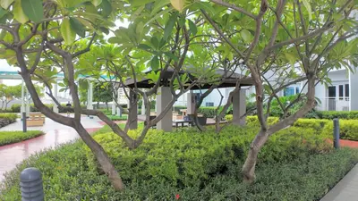 a group of trees with a building in the background at NITO Modern Philippine Styled Home at Jazz Residences Makati in Manila