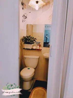 a bathroom with a toilet and a sink and a mirror at El Nissi Staycation, THE GARDEN CABIN, Enchanted Kingdom in Santa Rosa