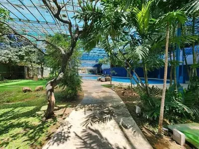a walkway in a garden with a palm tree at Chill Spot Staycation in Pasig in Manila