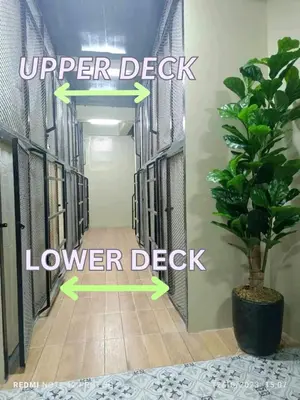 a hallway with a door and a potted plant at RDC- Baclaran Transient Capsule in Manila