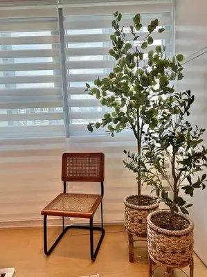 a chair and a bench and two trees in a room at Charming 3-BR Condo in BGC in Manila