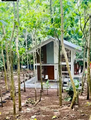 a house in the middle of a forest of trees at Tagaytay's Cozy Loft-type Forest House and Camp in Silang