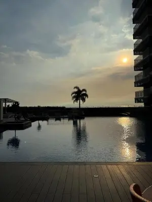 a view of a lake with a palm tree and the sunset at Stylish 1BR Near Airport Facing the Bay - 7b in Manila