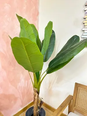 a green plant in a vase on a table at 2 Bedroom Summer Themed Unit at Azure in Manila