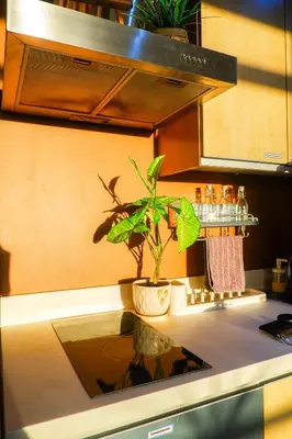 a plant sitting on top of a kitchen counter at Studio in Makati - Fast WiFi, Big Balcony, Pool and Gym Access in Manila
