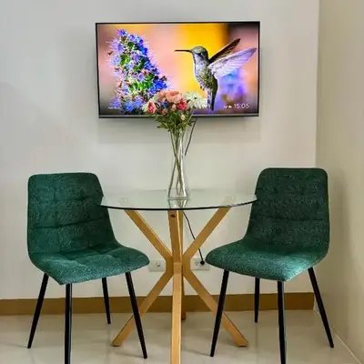 Cozy and Homey 1BR Condo at SMDC South Residences