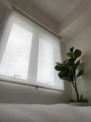 a potted plant sitting next to a window at Oak Apartment at The Rochester Bridgeview Tower in Manila