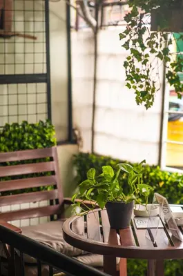 a table with a potted plant on it next to a bench at Homey and Cozey Poblacion Makati S03 in Manila