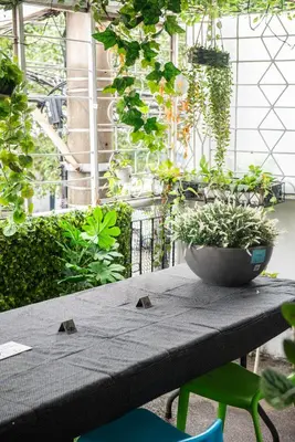 a table with a potted plant on top of it at Homey and Cozey Poblacion Makati S04 in Manila