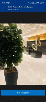a picture of a potted plant and a sculpture at Natalie's Place in Mall of Asia Complex in Manila