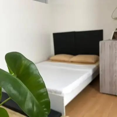 Metro Suites
