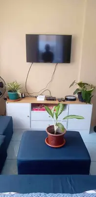 a living room with a tv and a potted plant at Cernardo's Staycation Place 1 near Enchanted Kingdom in Ibaba