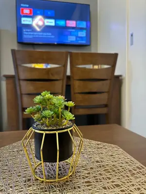 a potted plant sitting on top of a table at Marias Crib in Manila
