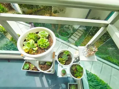 a group of plants sitting on a glass table at Azure staycationbyGetwellwander in Manila