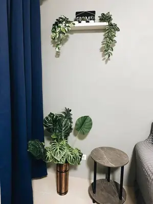 a room with two potted plants on a wall at The Serenity Studio in Manila