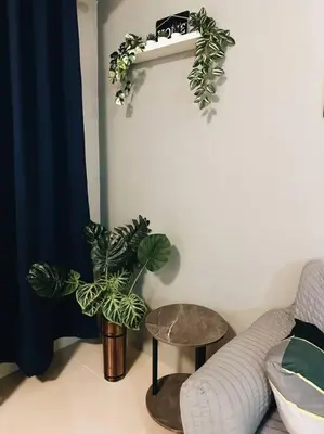 a living room with a couch and two plants at The Serenity Studio in Manila