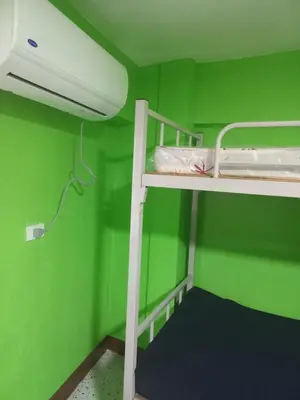 a green room with two bunk beds in it at Joshua Transient in Manila