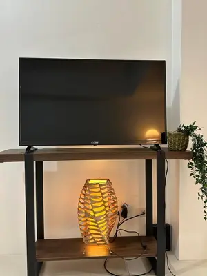 a flat screen tv on a stand with a plant at Relaxing Suite Across NAIA Terminal 3 in Manila