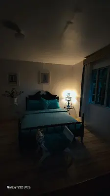 a bedroom with a large bed in a room at Elegant Villa in Manila