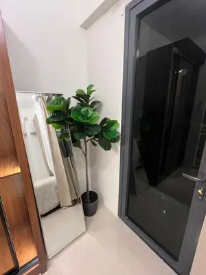 a plant sitting next to a large mirror in a bathroom at Shore 2 Tower 3 in Manila